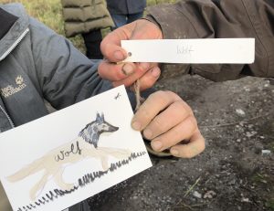 Eine Zeichnung von einem Wolf auf einem Blatt Papier. Daneben wird ein Papierstreifen mit dem Wort 'Wolf' gehalten.