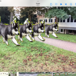 Ein Fußgängerweg zwischen zwei Rasenflächen, auf den mit einem Bildbearbeitungsprogramm vier Hunde eingefügt worden sind.