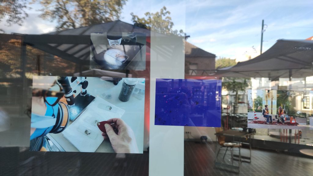 EIn Schaufenster, in dem mehrere Fotografien von Mikroskopaufnahmen und der Performance "Partikel der Geschäftigkeit" zu sehen sind.